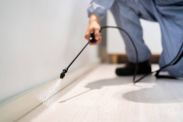 Licensed Termite Control service in Charlotte, NC - Show Me Pest Control