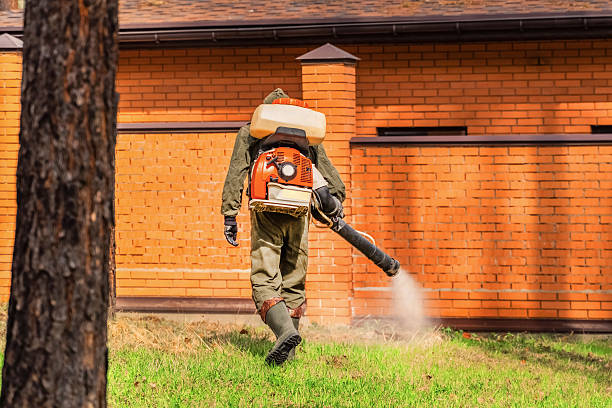 Top rated local Wasp Removal specialists in Charlotte, NC